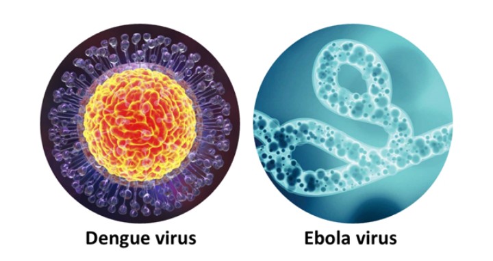 New Dengue Vaccine And Possibility Of mRNA Vaccine For Ebola