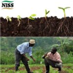 Food Security: NISS Trains South-East Farmers On Climate-smart Agriculture