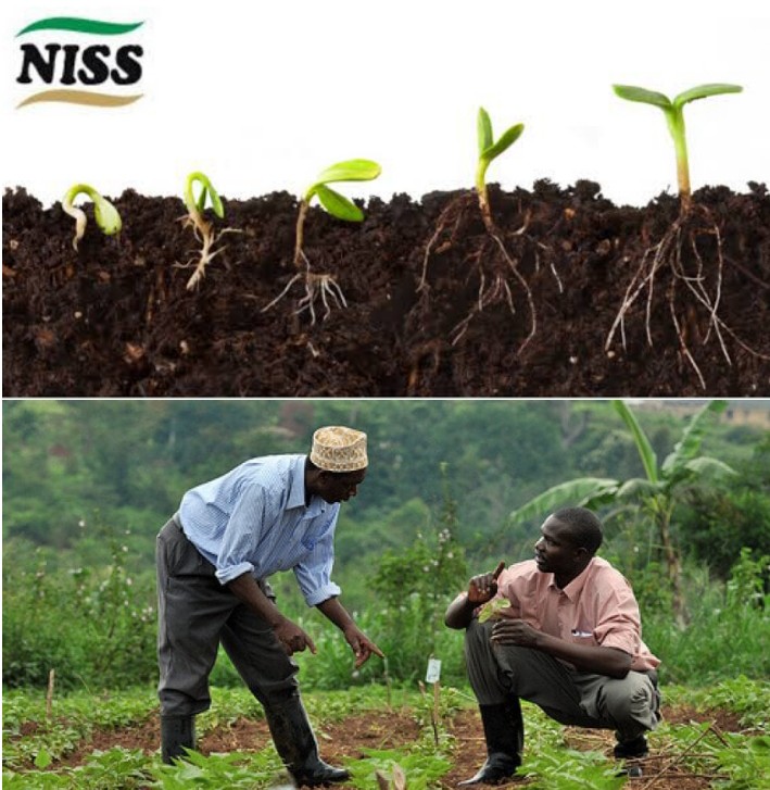 Food Security: NISS Trains South-East Farmers On Climate-smart Agriculture