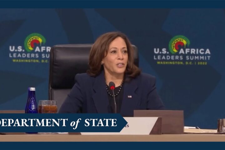 Plans For $100m New Investment In Young African Leaders Initiative Underway – US VP