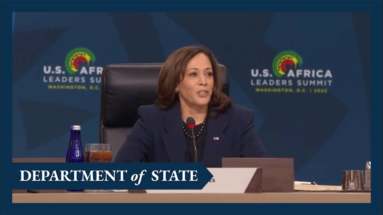 Plans For $100m New Investment In Young African Leaders Initiative Underway – US VP