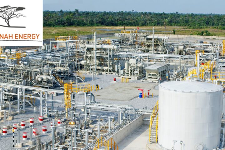 Savannah Energy Terminates SPA For PETRONAS’ Chad, Cameroon Portfolio