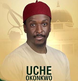 Idemili North/South LP Candidate, Uche Okonkwo Prioritises Healthcare