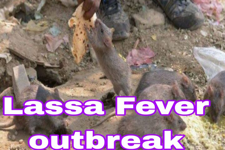 Lassa Fever: Fresh Concerns As Nigeria Records 189 Deaths