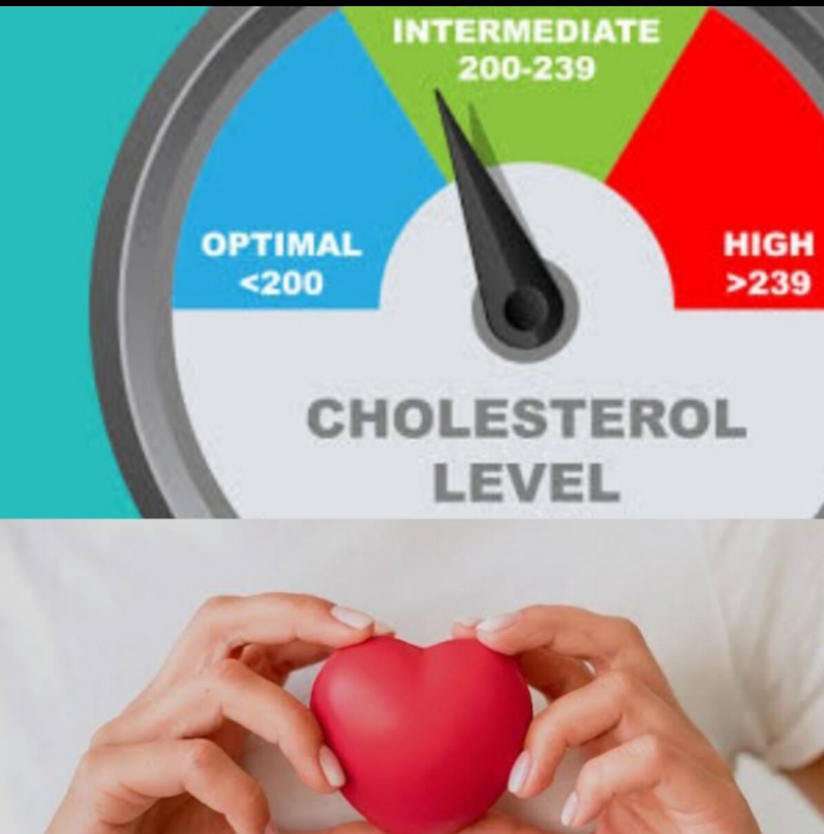 How To Manage High Cholesterol