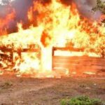 NDLEA Destroys Warehouses Storing 317 tons Of Cannabis In Edo Forest