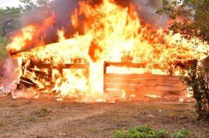 NDLEA Destroys Warehouses Storing 317 tons Of Cannabis In Edo Forest