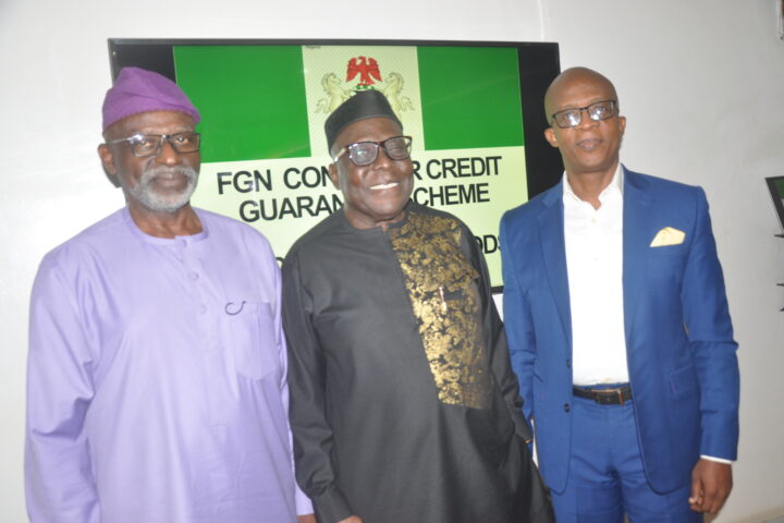 'Proposed FG-backed Consumer Credit Scheme Will Boost Nigeria's Industrial Sector'