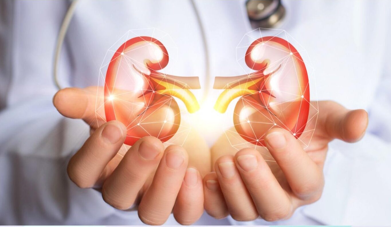 Eight Tips For Keeping Healthy Kidneys