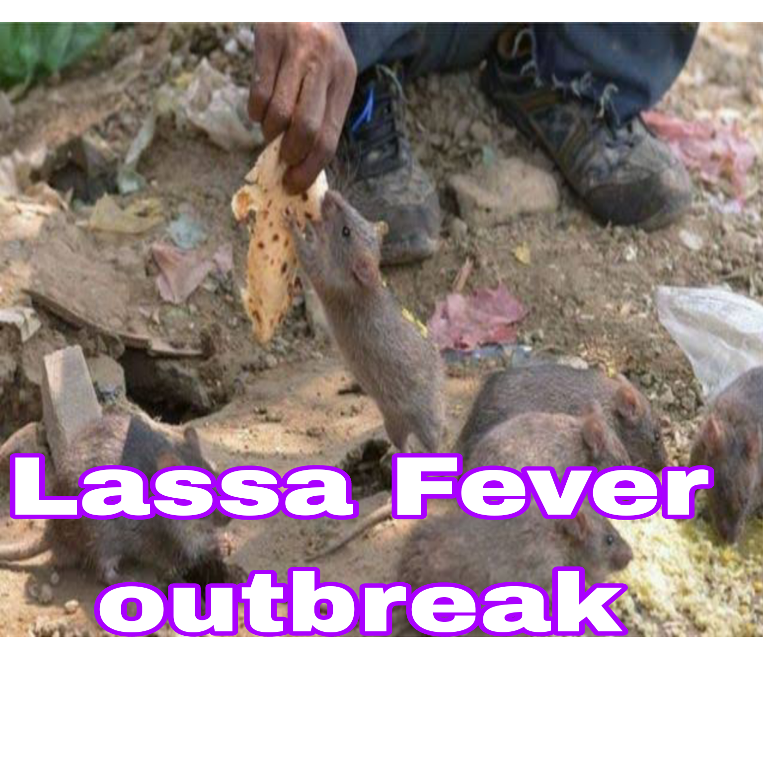 Lassa Fever: Victims Can Infect Others 12 Months After Treatment – Expert