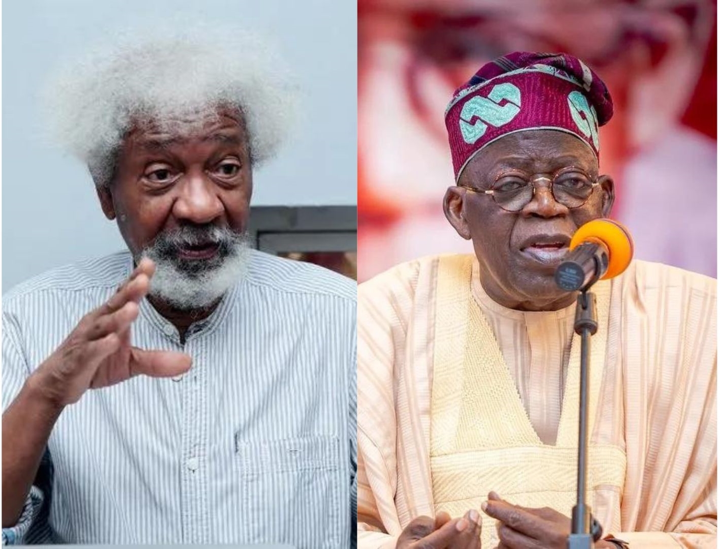 I Did Not Endorse Tinubu- Wole Soyinka