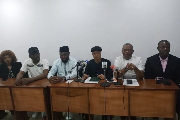 2023 Polls: Utomi Seeks Review Of Ballots In 12 States 