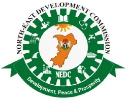 NEDC: Merits And Demerits Of Development Strategies
