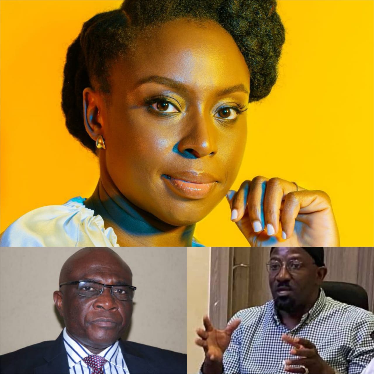 Poll: Onanuga, Onoh React To Adichie’s Open Letter To US President Biden