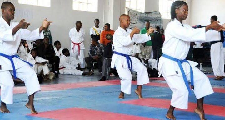 Sports Minister Calls For Raising Of Talents As FG Approves Mixed Martial Arts As Sports Federation