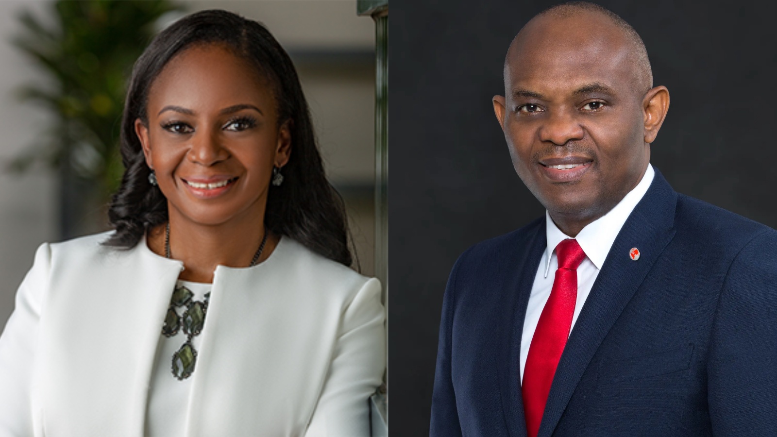 Elumelu's Wife Pays N5.34bn For Transcorp Shares, Family Now Controls 35.8% Of Transcorp