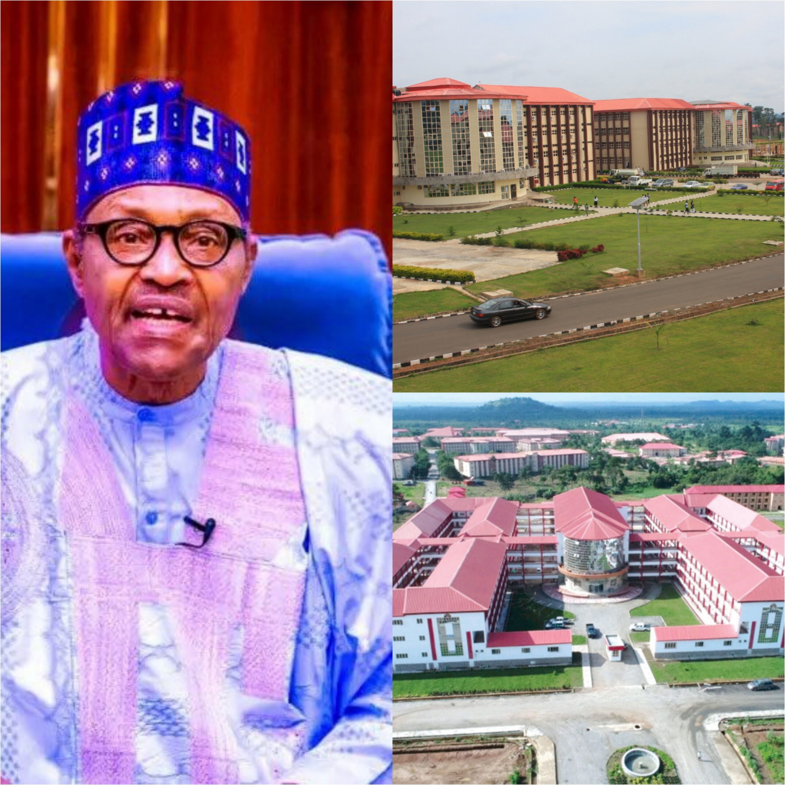 Full List Of Newly Licensed Universities By Buhari Administration