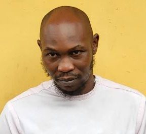 Seun Kuti's Assault Case Hearing Delayed, Magistrate On Leave