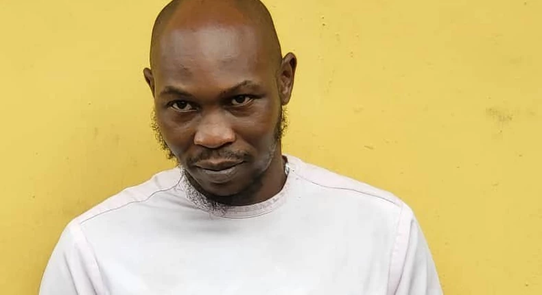 Seun Kuti's Concert In Jeopardy Following Arrest