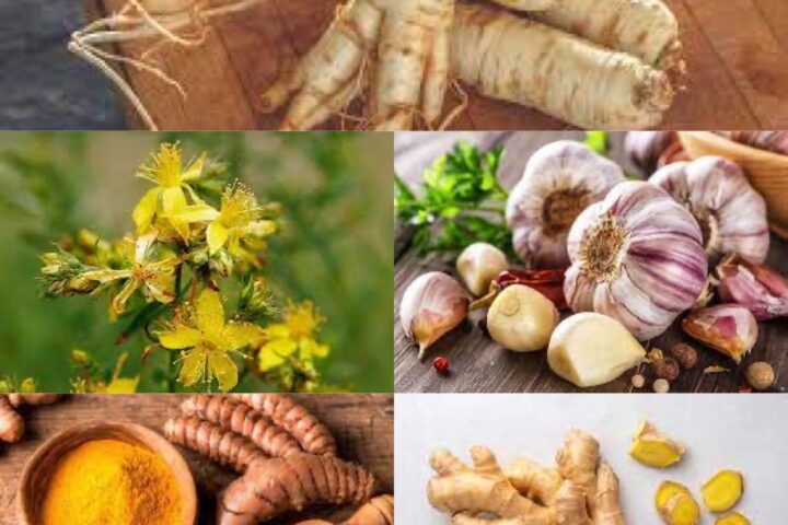 5 Most Popular Herbal Medicines From Around The World