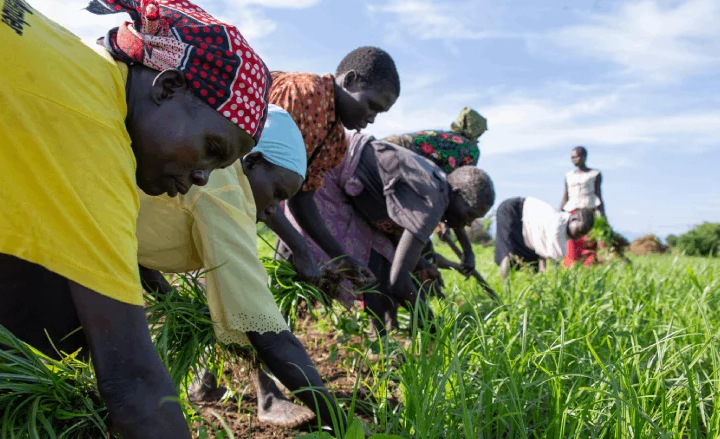 New Strategy For Tackling Food, Nutrition Security Crises in South Sudan