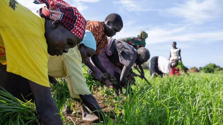 New Strategy For Tackling Food, Nutrition Security Crises in South Sudan