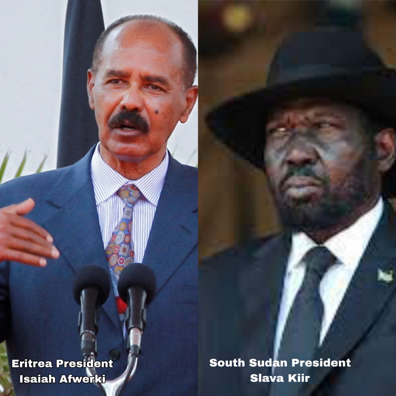 Sudan Conflict: Eritrea, South Sudan Take opposite Stands On Resolution