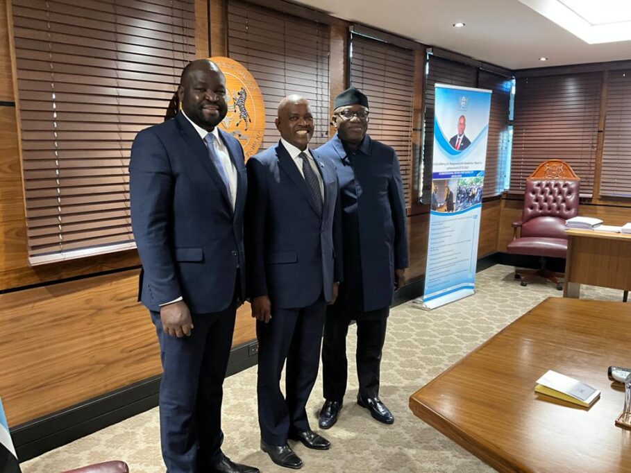 Photos: Fayemi Meets Botswana President, Discusses Investments In Tech, Agric, Others