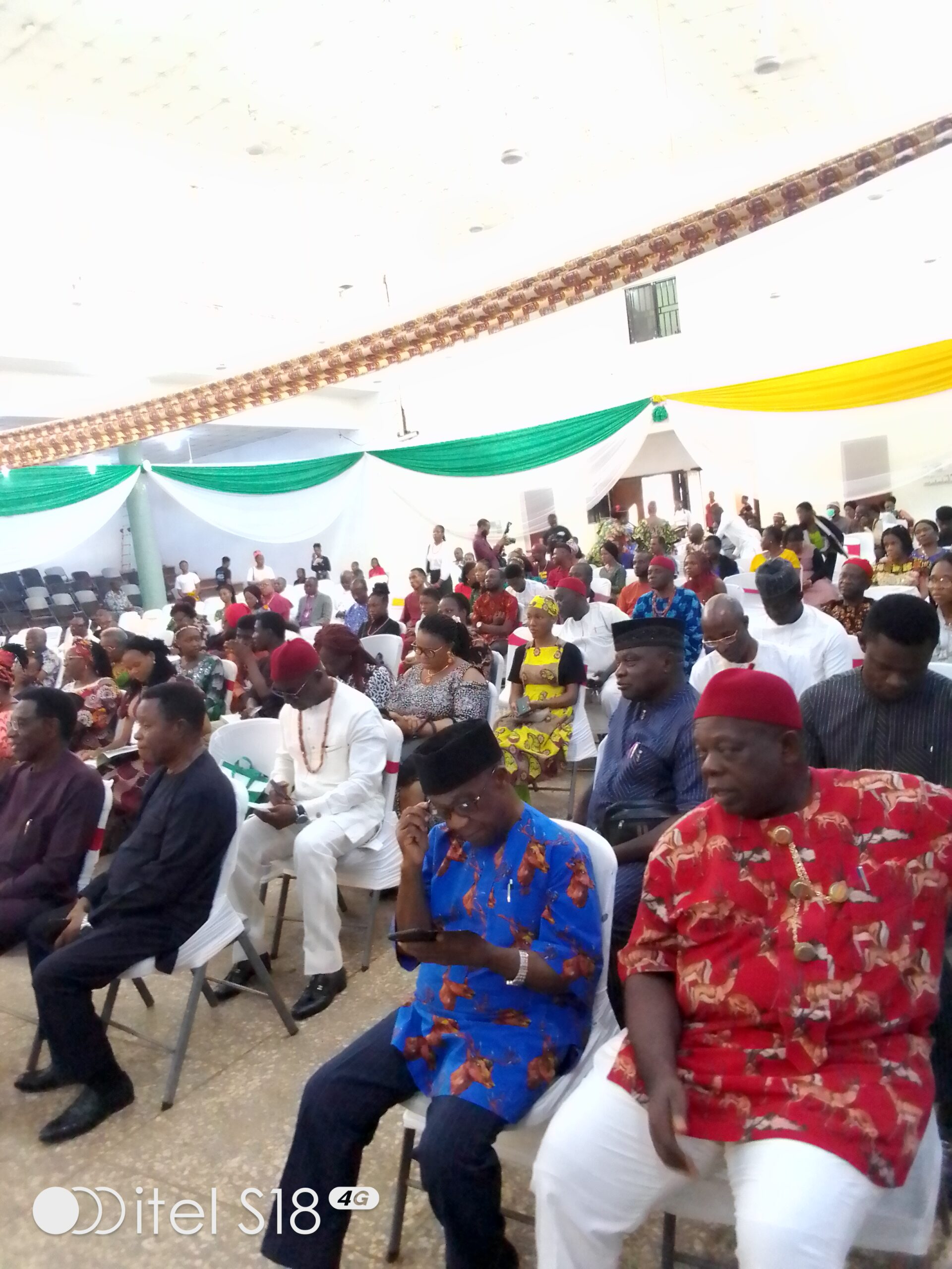 Stakeholders Seek Promotion Of Igbo Language, Traditional Values