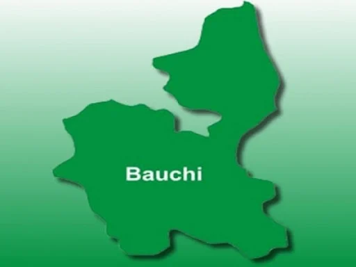 24-year-old Housewife Murders Co-Wife’s Newborn Baby In Bauchi