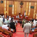 LG Autonomy: Bill Senate Seeks To Create Local Govt Electoral Commission  