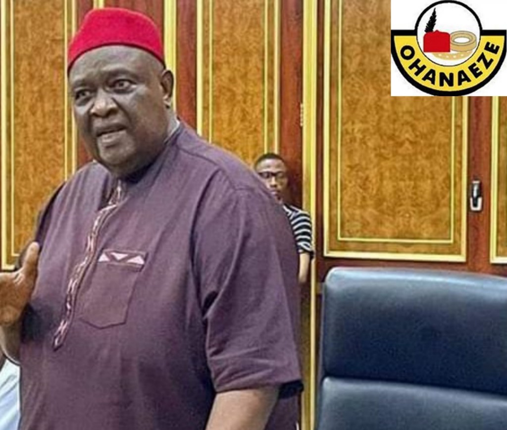 Ohanaeze Warns Igbos Not To Join Nationwide Protest Against Economic Hardship
