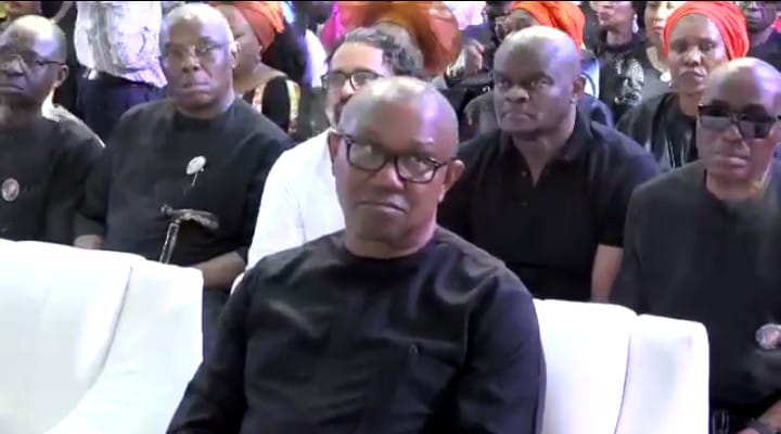 Kinsmen, Associates Pay Tribute To Senator Annie Okonkwo: SGF Akume, Peter Obi, Utomi, Akpabio On Roll Call