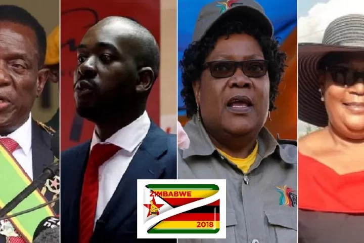 Zimbabwe 2023 Polls: What You Need To Know Before August 23