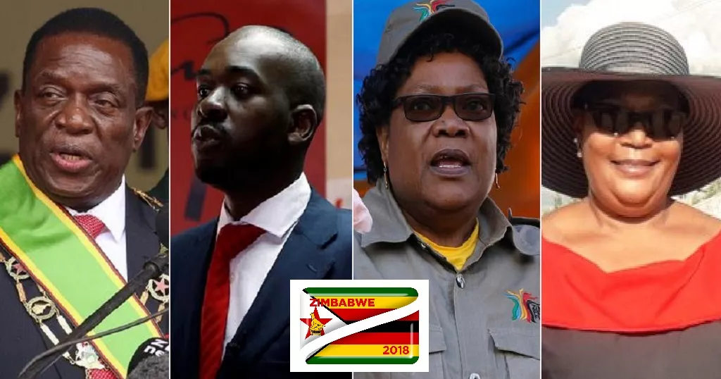 Zimbabwe 2023 Polls: What You Need To Know Before August 23