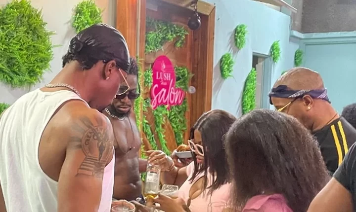 Major Highlights From This Week's BBNaija All-Stars Pool Party