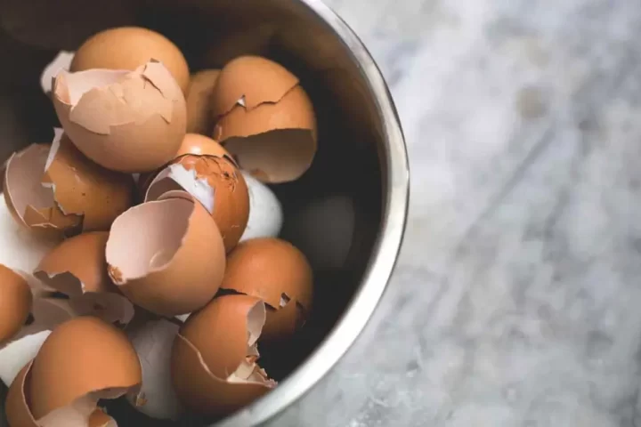 5 Hidden Benefits Of Eggshells