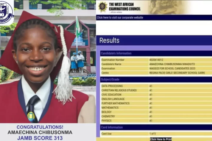 16-Year Old Amaechina, Scores Nine A1s In 2023 WASSCE