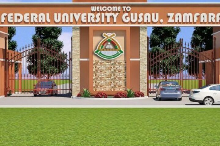 Insecurity: Bandits Kidnap Over 24 Zamfara Varsity Students