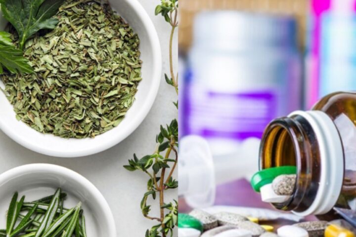 Rising Cost of Drugs: Are Herbs Viable Options?