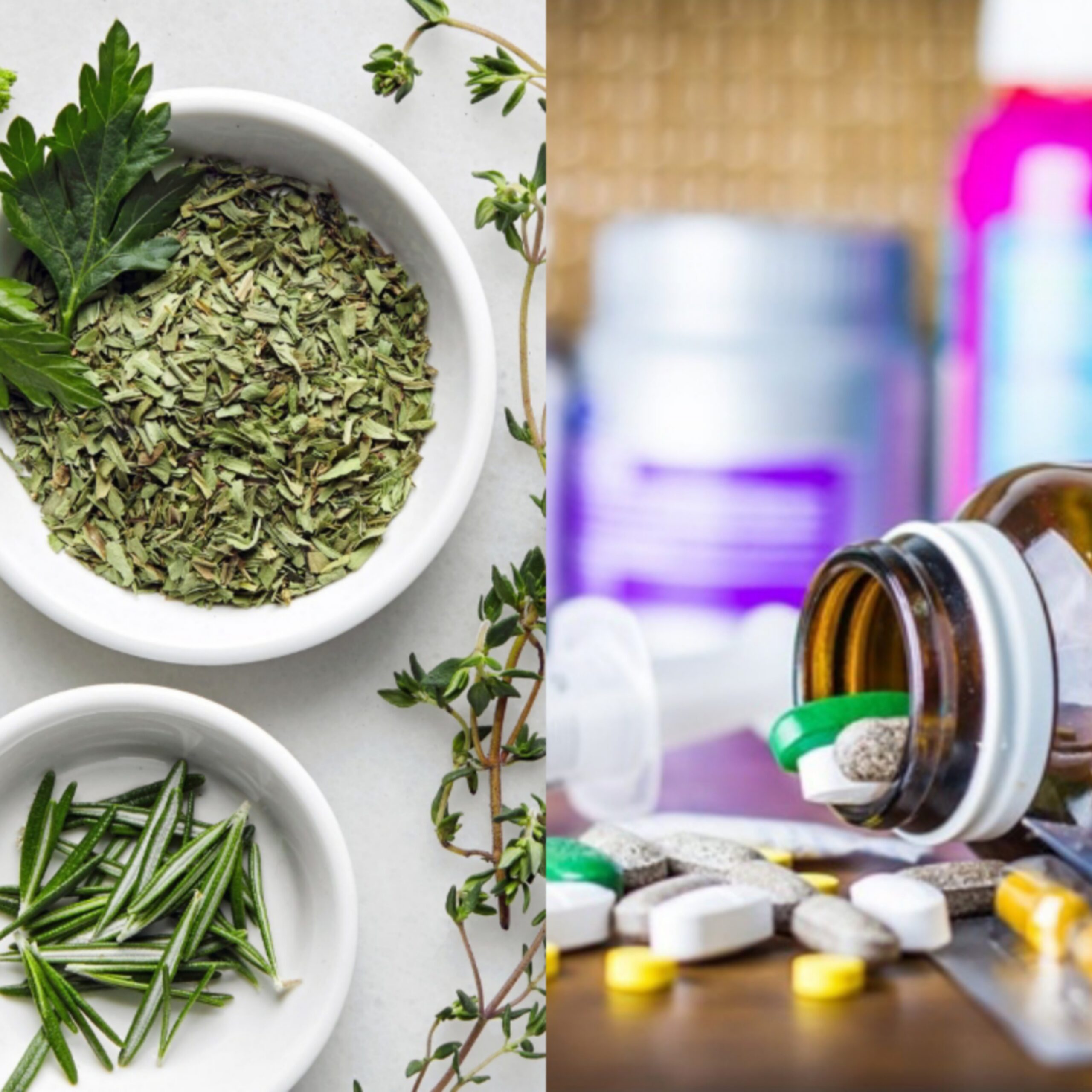 Rising Cost of Drugs: Are Herbs Viable Options?