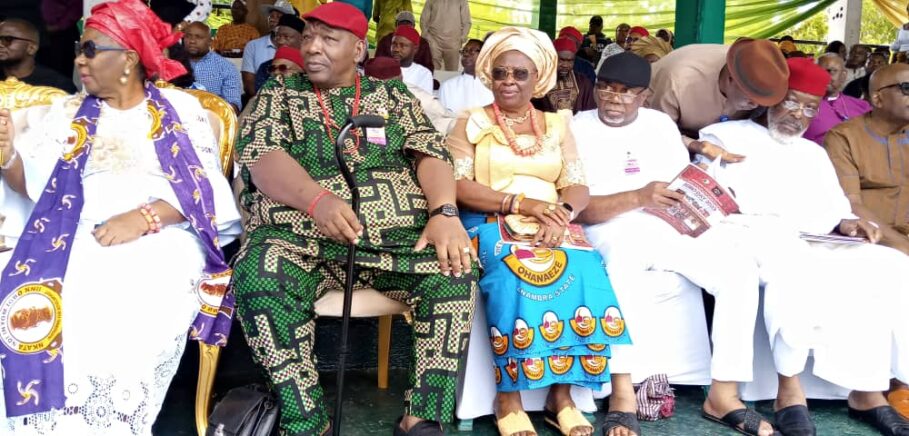 Igbo Day: Govs, Other Stakeholders Call For Synergy In Combating Insecurity, Achieving Economic Prosperity In South-East