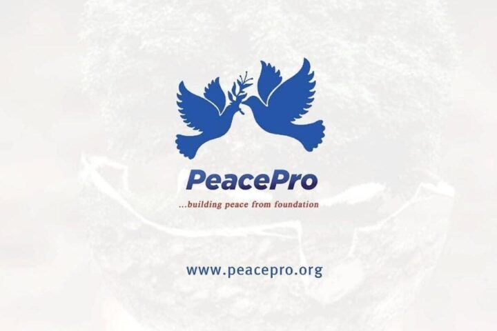 PeacePro Urges National Unity Through Peacebuilding