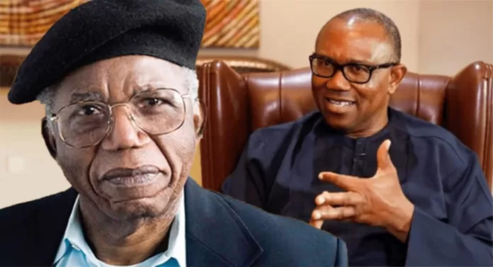 Obi Applauds Airport Renamed After Chinua Achebe