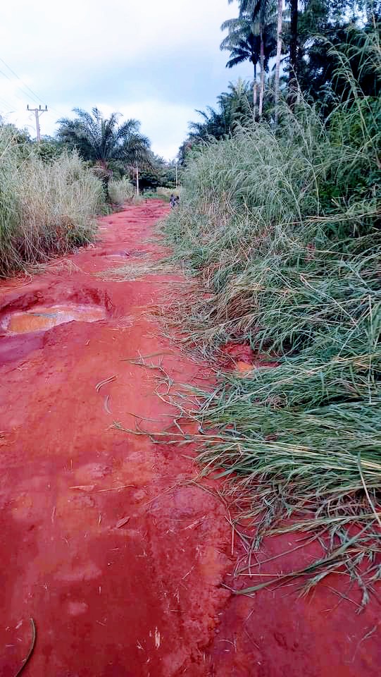 Enugu Community Cries Out To Gov Mba Over Dangerous Access Road That’s Not Even Trekkable [PHOTOS]