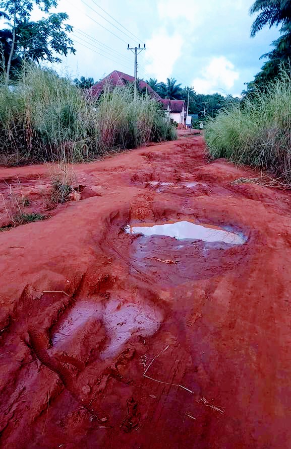 Enugu Community Cries Out To Gov Mba Over Dangerous Access Road That’s Not Even Trekkable [PHOTOS]