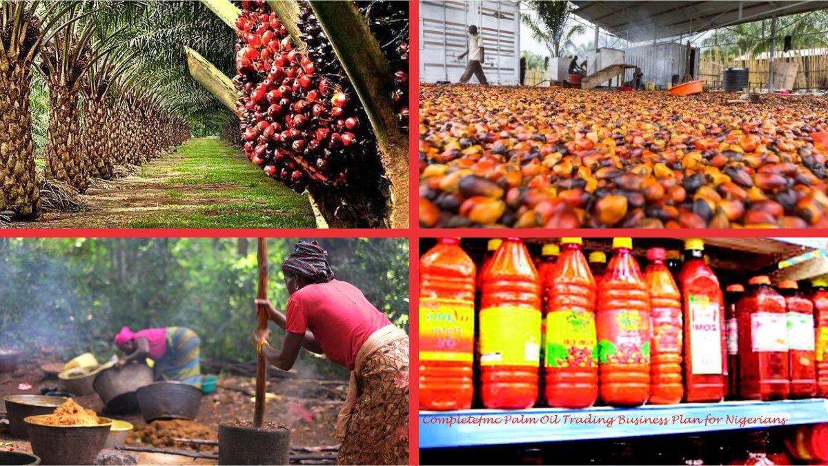 Palm Oil Business In Nigeria