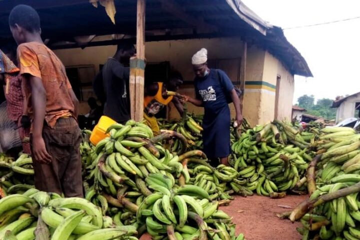 Lagos State Govt Sealed Mushin Plantain Over Filthy Conditions