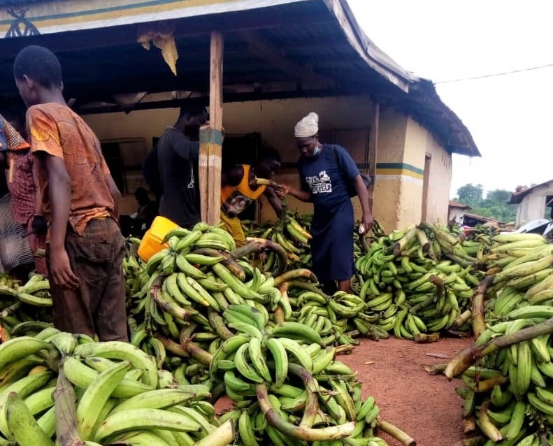 Lagos State Govt Sealed Mushin Plantain Over Filthy Conditions