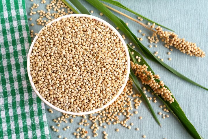 5 Health Benefits of Sorghum